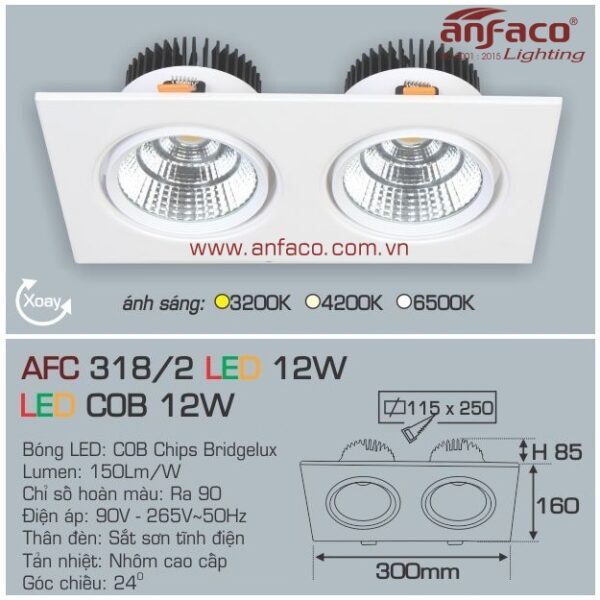 Đèn Anfaco LED downlight âm trần AFC 318/2-12W